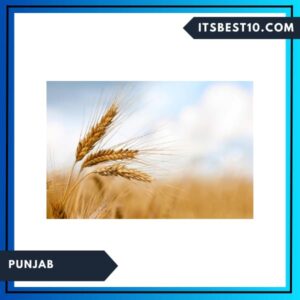 Punjab