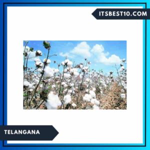 Telangana