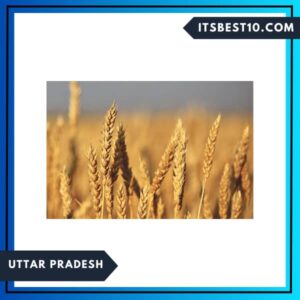 Uttar Pradesh