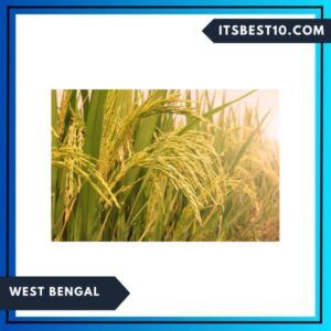 West Bengal